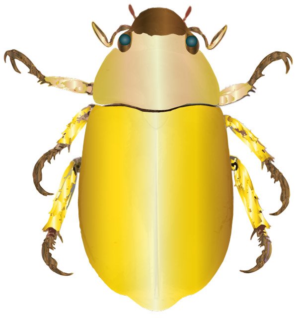 An Egyptian scarab beetle