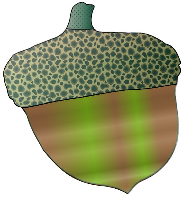 A lucky acorn