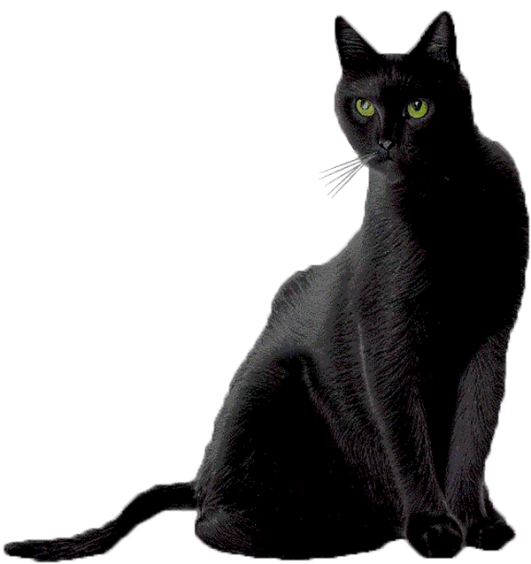 Black Cat Figurines
