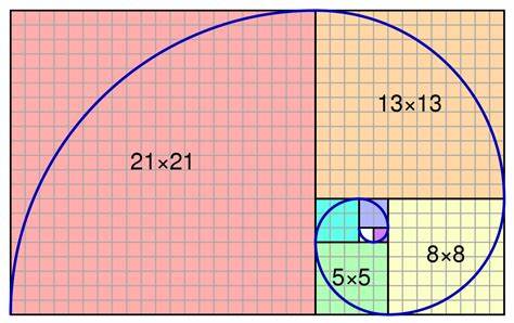 The Fibonacci Spiral